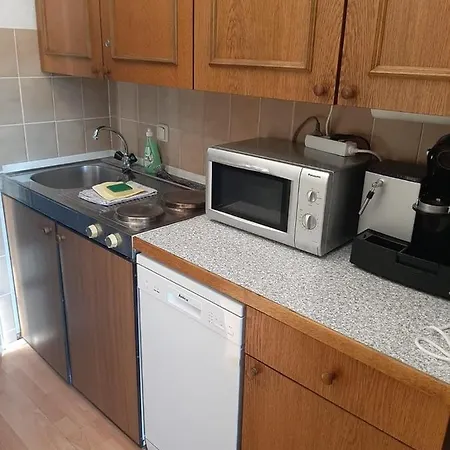 Gipfelsieg Am Hallstaettersee Appartement *