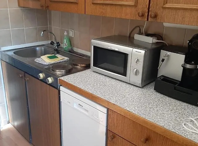 Gipfelsieg Am Hallstaettersee Apartmán *